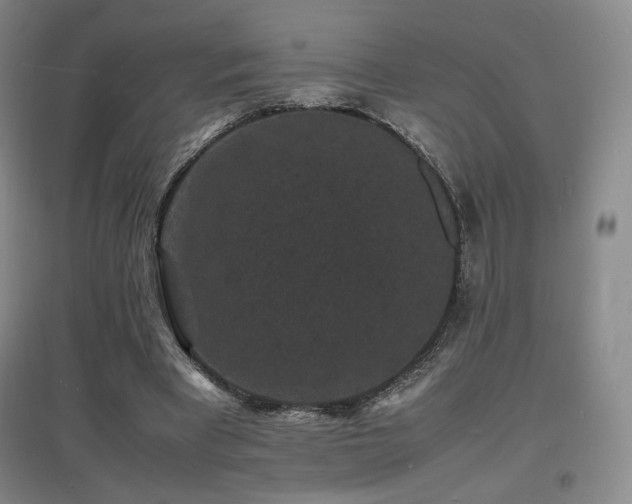 X0000097620393200802291331