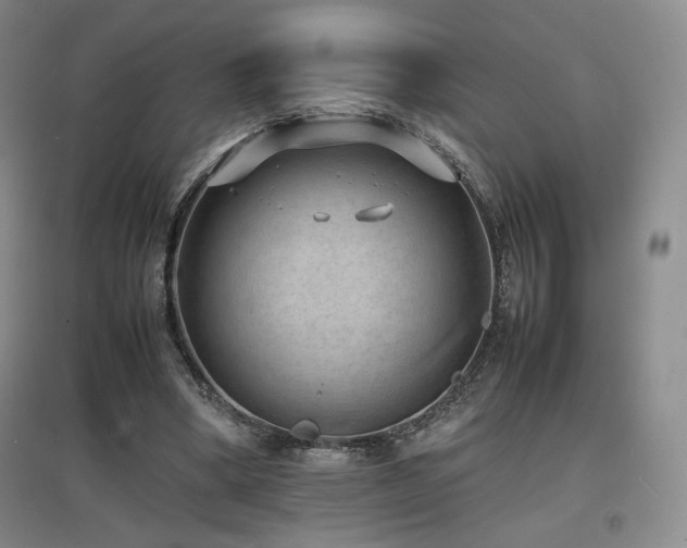 X0000097620394200802291331