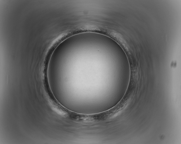 X0000097620395200802291331