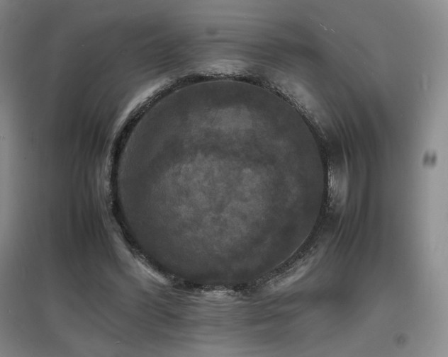 X0000097620396200802291330
