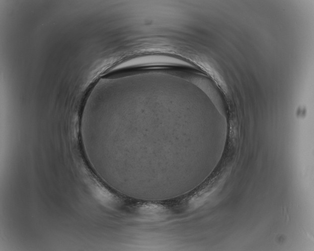 X0000097620397200802291330