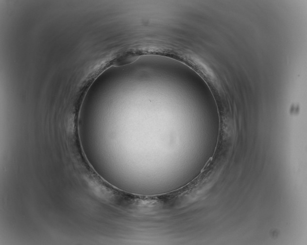 X0000097620401200802291330