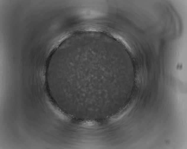 X0000097620402200802291330