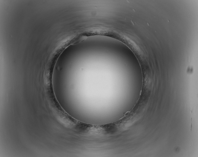 X0000097620403200802291330
