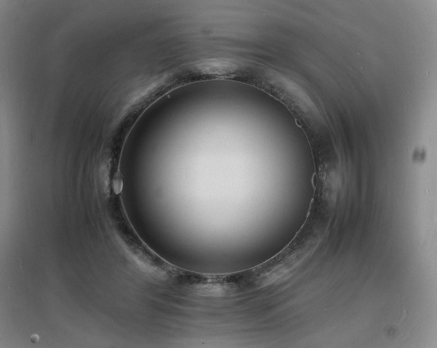 X0000097620404200802291330