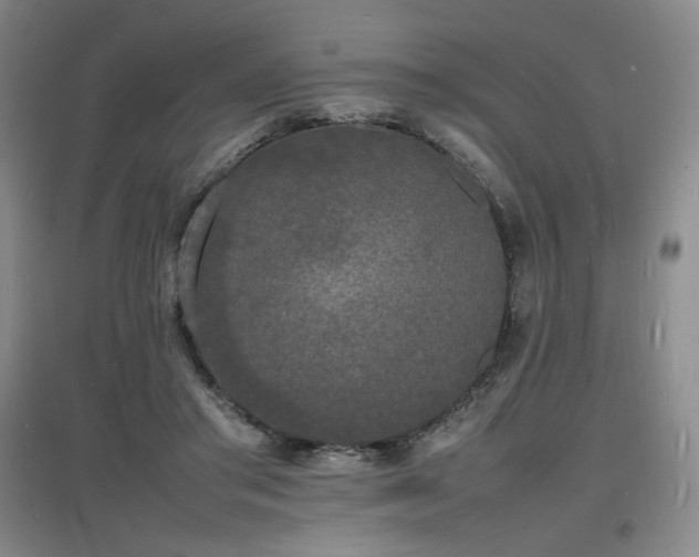 X0000097620405200802291330