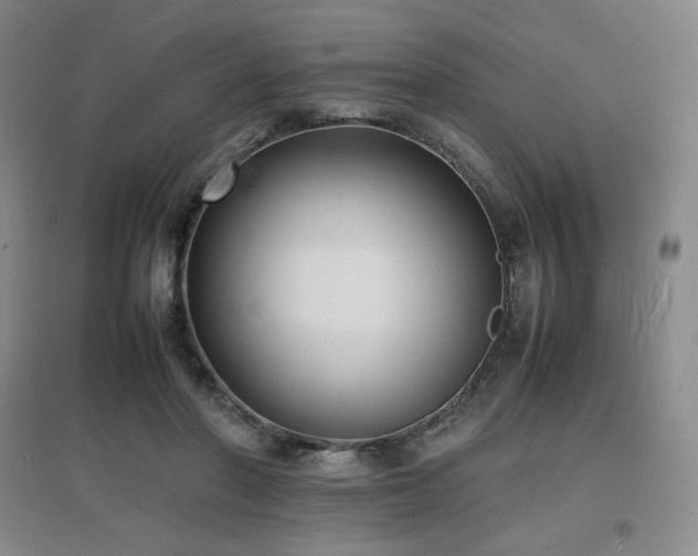 X0000097620406200802291330