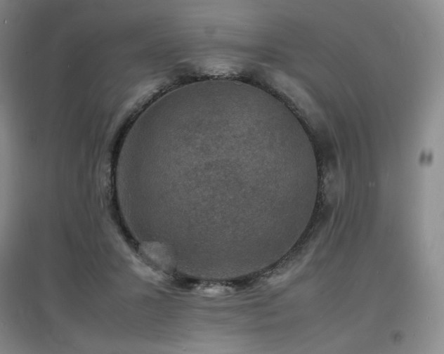 X0000097620407200802291330