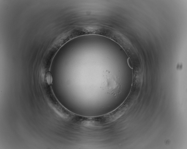 X0000097620408200802291330