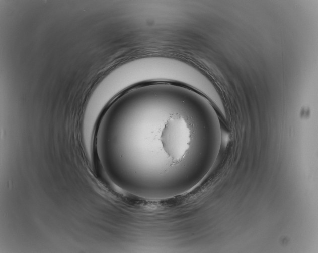 X0000097620409200802291330