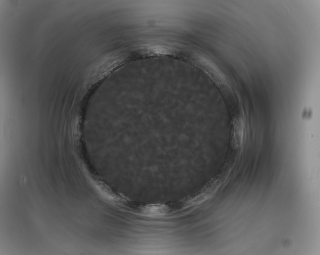 X0000097620410200802291330