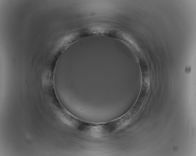 X0000097620411200802291330