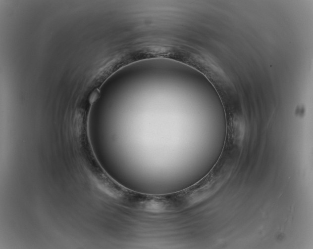 X0000097620412200802291330