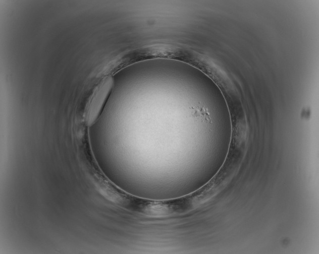X0000097620413200802291330