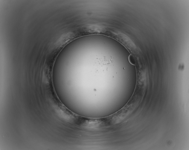 X0000097620414200802291330