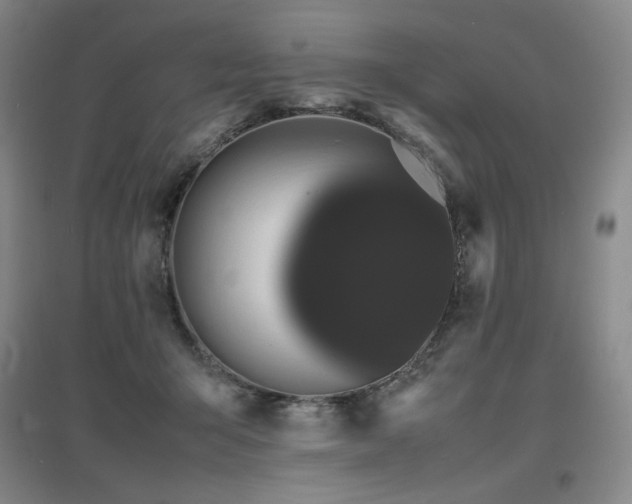 X0000097620415200802291330