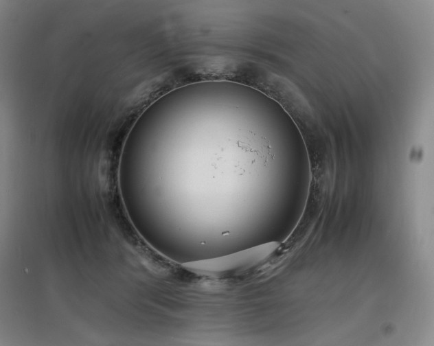 X0000097620416200802291330