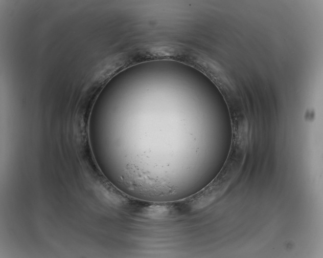 X0000097620418200802291330