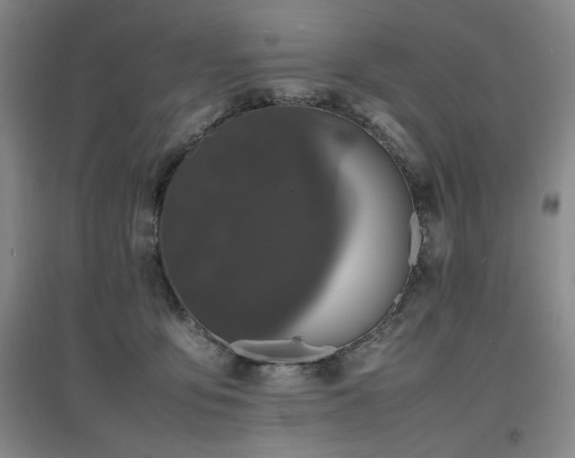X0000097620419200802291330