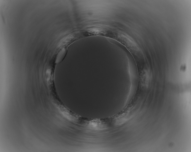 X0000097620420200802291330