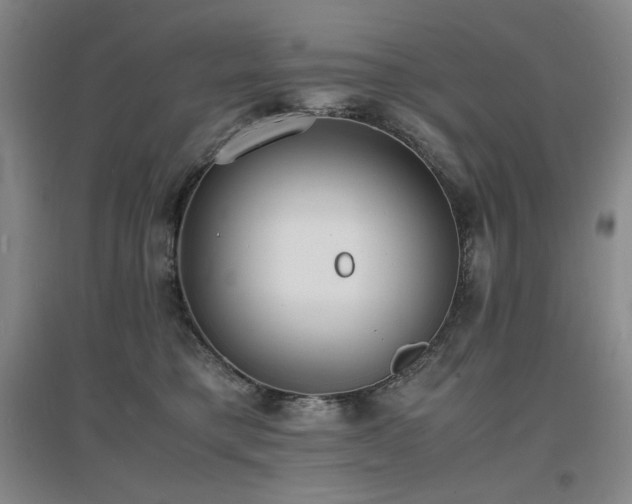 X0000097620421200802291330