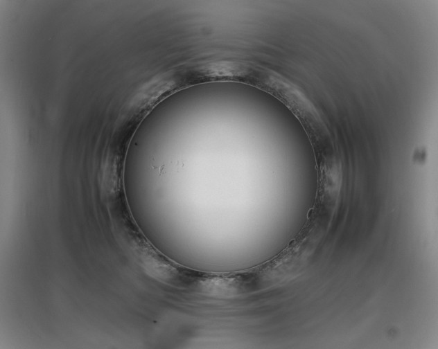 X0000097620422200802291330