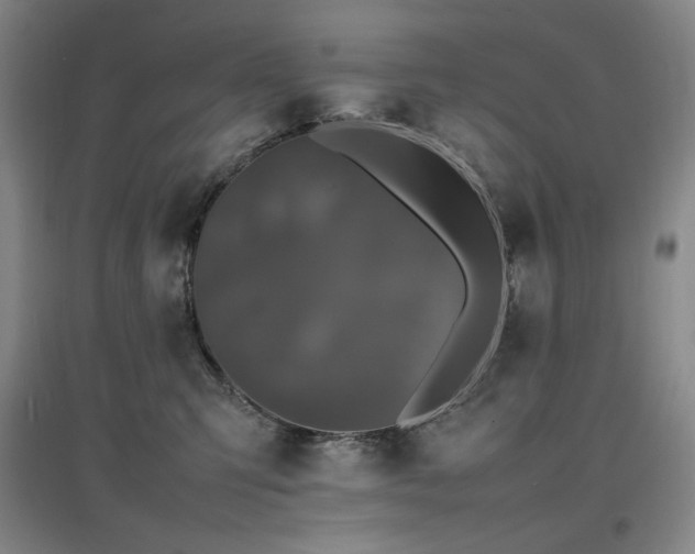 X0000097620423200802291330
