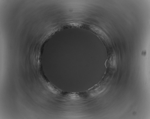 X0000097620424200802291330