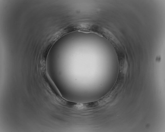 X0000097620425200802291330