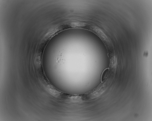 X0000097620426200802291330