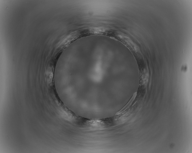 X0000097620427200802291330