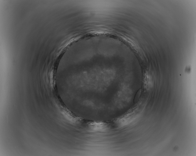 X0000097620428200802291330