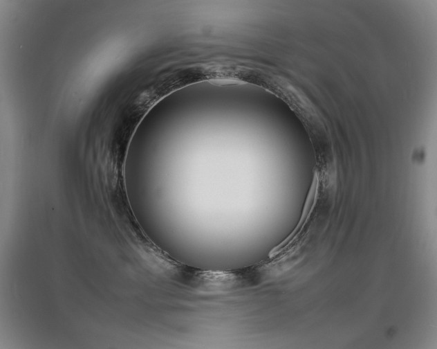 X0000097620429200802291330