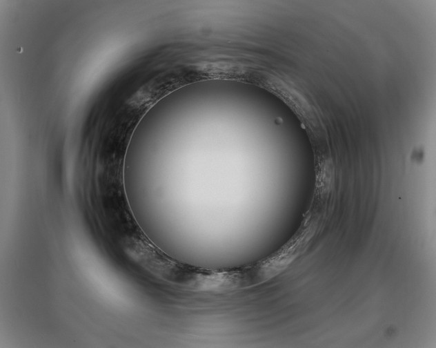 X0000097620430200802291330
