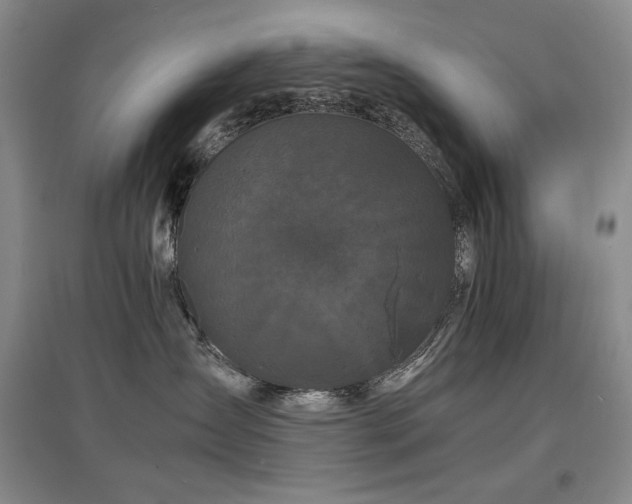 X0000097620431200802291330