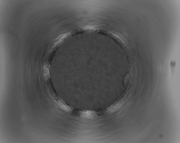 X0000097620432200802291330