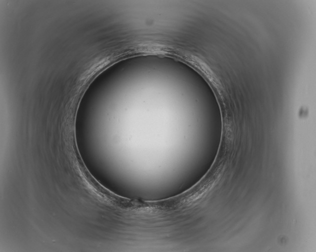 X0000097620433200802291329