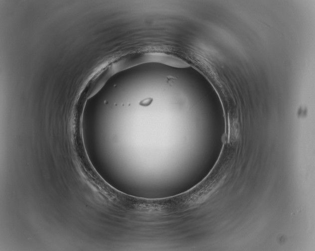 X0000097620435200802291329