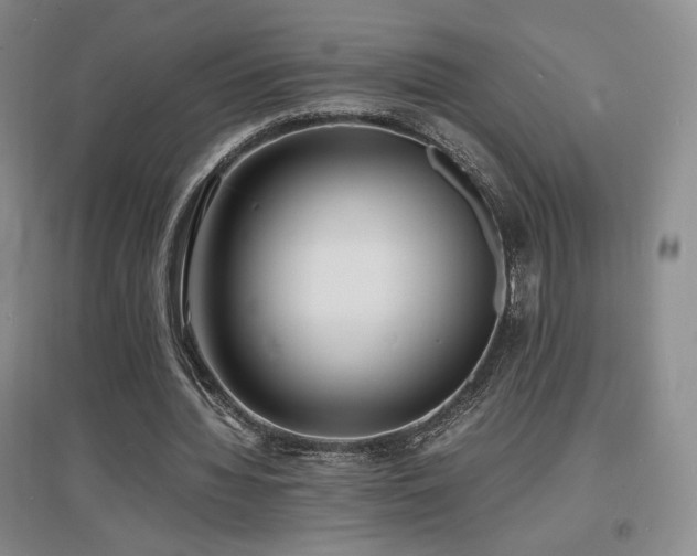 X0000097620436200802291329