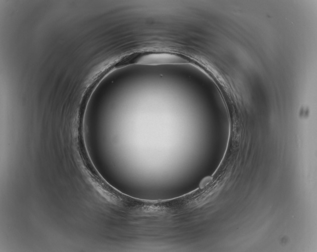 X0000097620437200802291329