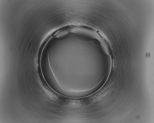 X0000097620438200802291329