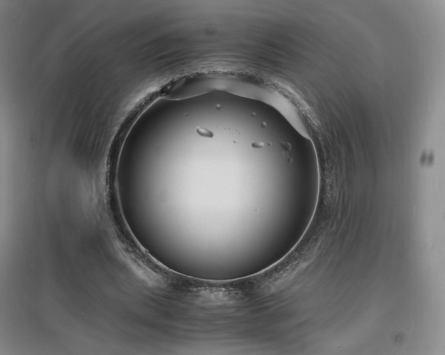X0000097620439200802291329