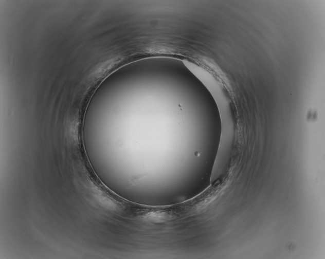 X0000097620441200802291329