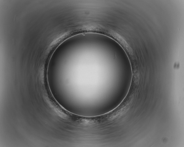 X0000097620442200802291329