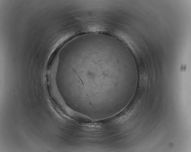 X0000097620443200802291329