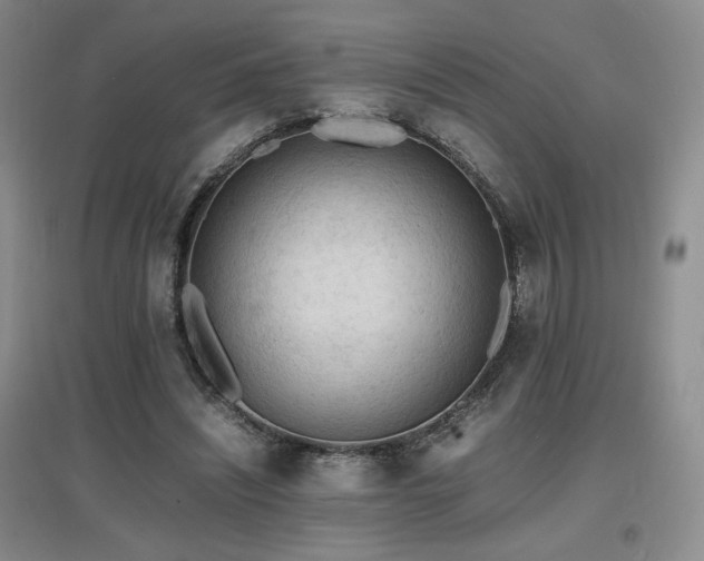 X0000097620444200802291329