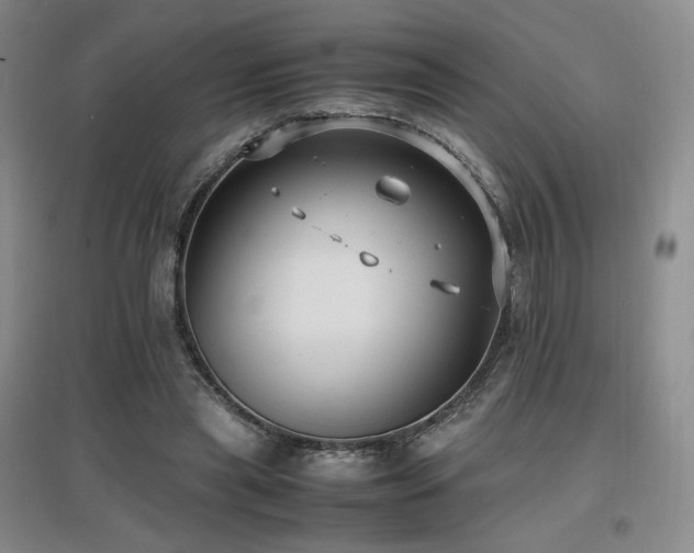 X0000097620445200802291329