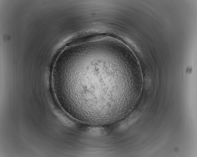 X0000097620446200802291329