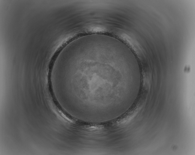 X0000097620447200802291329
