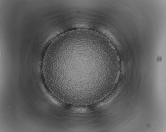 X0000097620449200802291329